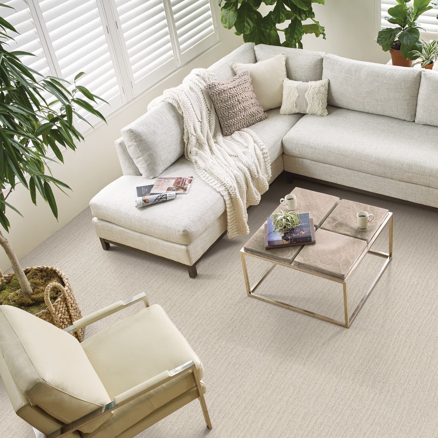 living room photo from above from Goodrich Floor Coverings Inc in Salt Lake City